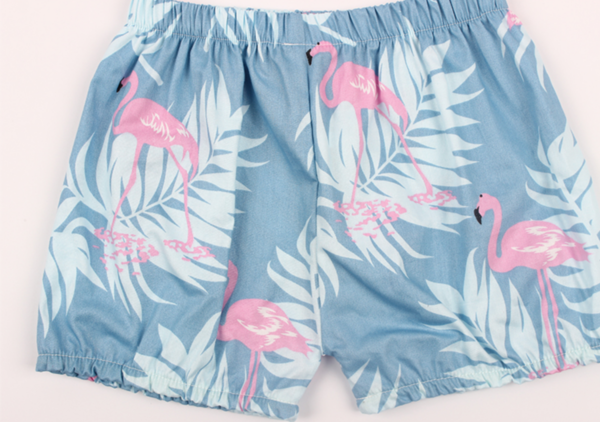 Itty Bitty Baby Blue Flamingo Summer Shorts - Image 2