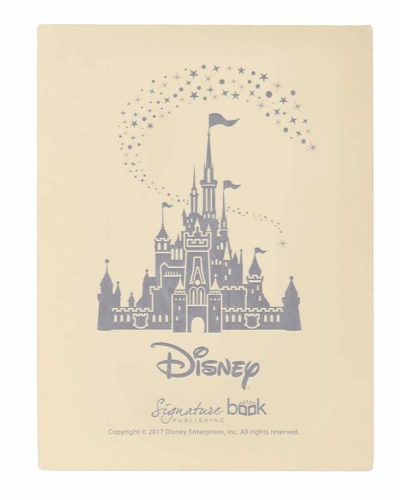 Disney Gift Box Standard
