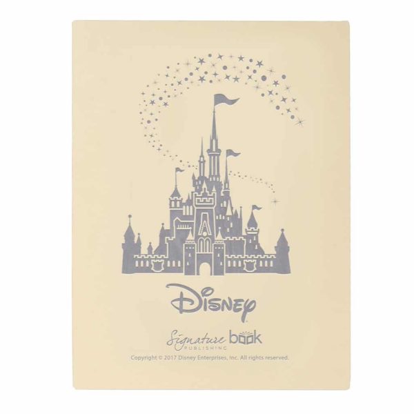 Disney Gift Box Standard