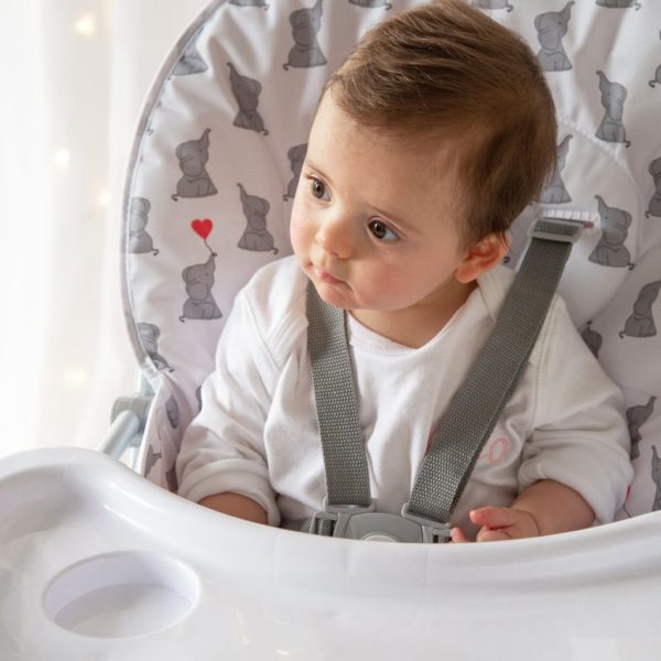 Dani Dyer Elephants Compact Highchair