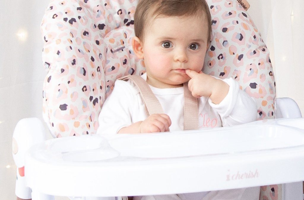 Dani Dyer Blush Leopard Premium Highchair