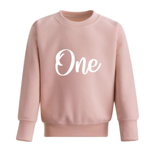 Itty Bitty Milestone Sweatshirt - Dusty Pink