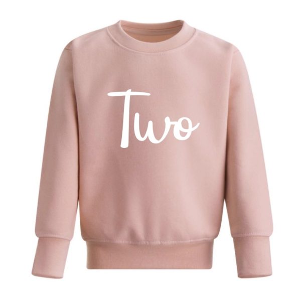 Itty Bitty Milestone Sweatshirt - Dusty Pink - Image 3