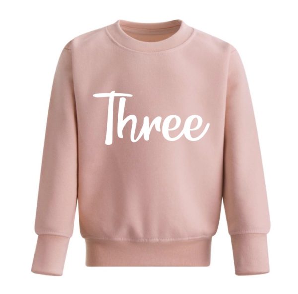 Itty Bitty Milestone Sweatshirt - Dusty Pink - Image 4