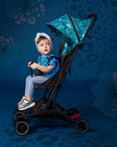 Bizzi Growin Compact Stroller - Hummingbird