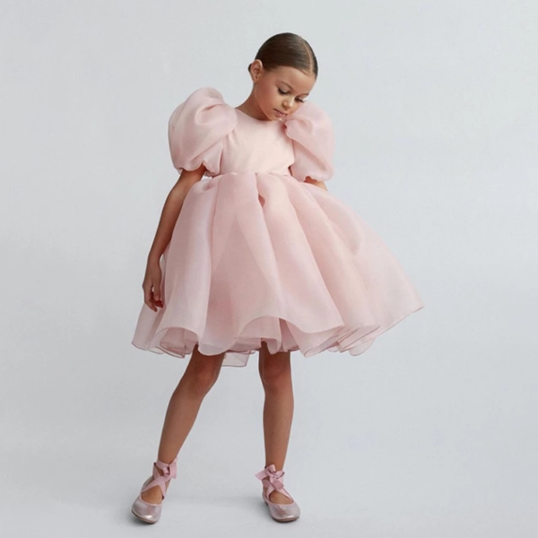 Itty Bitty Pink Puff Sleeve Tutu Dress