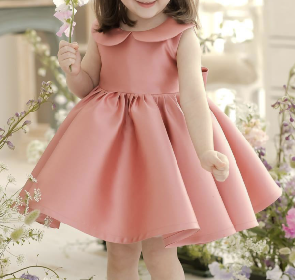 Itty Bitty Rose Princess Vintage Dress - Image 3