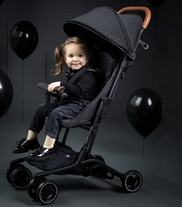 Bizzi Growin Compact Stroller - Onyx
