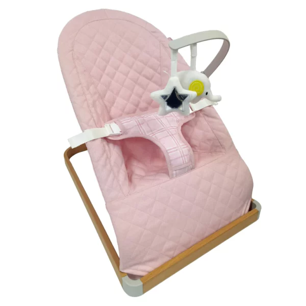 Dani Dyer Pink Plaid Baby Bouncer - Image 4