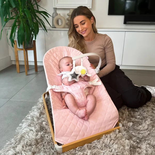 Dani Dyer Pink Plaid Baby Bouncer