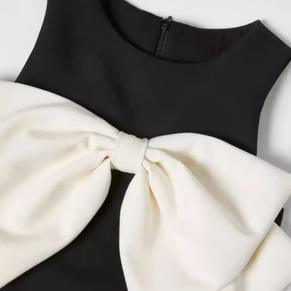 Itty Bitty Black & White Statement Bow Dress - Image 4